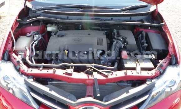 Acheter Occasion Voiture Toyota Auris Autre à Beitbridge, Matabeleland South Acheter Occasion Voiture Toyota Auris Autre à Beitbridge, Matabeleland South