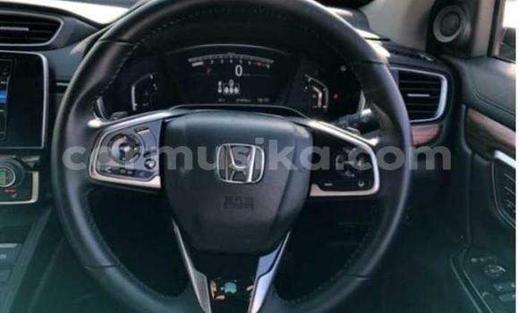 Acheter Occasion Voiture Honda CR–V Gris à Beitbridge, Matabeleland South Acheter Occasion Voiture Honda CR–V Gris à Beitbridge, Matabeleland South