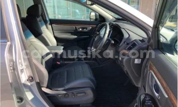 Acheter Occasion Voiture Honda CR–V Gris à Beitbridge, Matabeleland South Acheter Occasion Voiture Honda CR–V Gris à Beitbridge, Matabeleland South