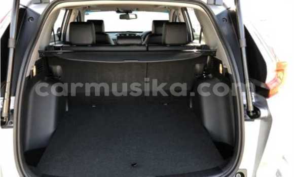 Acheter Occasion Voiture Honda CR–V Gris à Beitbridge, Matabeleland South Acheter Occasion Voiture Honda CR–V Gris à Beitbridge, Matabeleland South