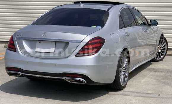 Acheter Occasion Voiture Mercedes‒Benz S–Class Gris à Beitbridge, Matabeleland South Acheter Occasion Voiture Mercedes‒Benz S–Class Gris à Beitbridge, Matabeleland South