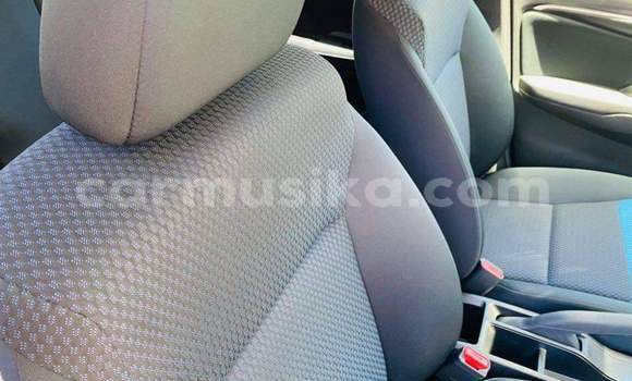 Tenga Tsaru Honda Fit Sirivha Mota in Beitbridge in Matabeleland South Tenga Tsaru Honda Fit Sirivha Mota in Beitbridge in Matabeleland South