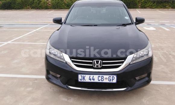 Buy Used Honda Accord Beige Car in Beitbridge in Matabeleland South