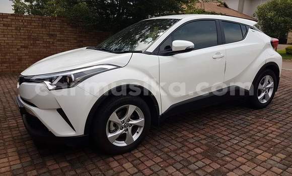 Tenga Tsaru Toyota C-HR Chena Mota in Beitbridge in Matabeleland South Tenga Tsaru Toyota C-HR Chena Mota in Beitbridge in Matabeleland South