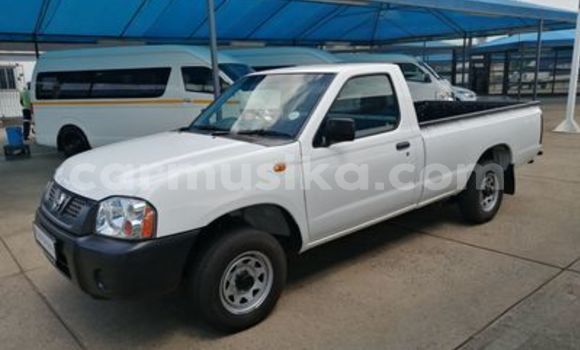Buy Used Nissan NP 300 White Car in Beitbridge in Matabeleland South