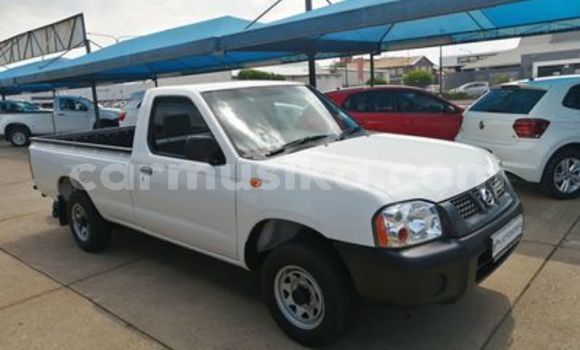 Tenga Tsaru Nissan NP 300 Chena Mota in Beitbridge in Matabeleland South Tenga Tsaru Nissan NP 300 Chena Mota in Beitbridge in Matabeleland South