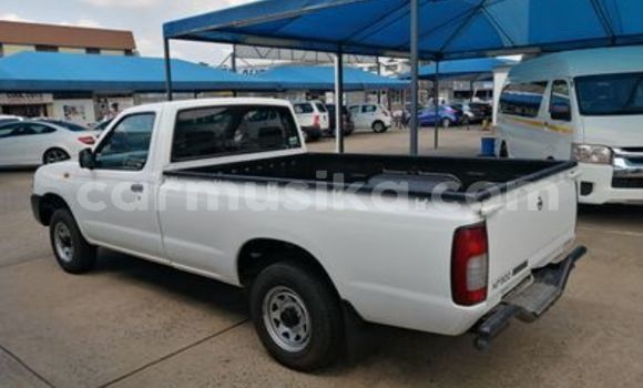 Tenga Tsaru Nissan NP 300 Chena Mota in Beitbridge in Matabeleland South Tenga Tsaru Nissan NP 300 Chena Mota in Beitbridge in Matabeleland South