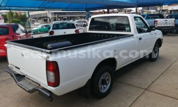 Tenga Tsaru Nissan NP 300 Chena Mota in Beitbridge in Matabeleland South Tenga Tsaru Nissan NP 300 Chena Mota in Beitbridge in Matabeleland South