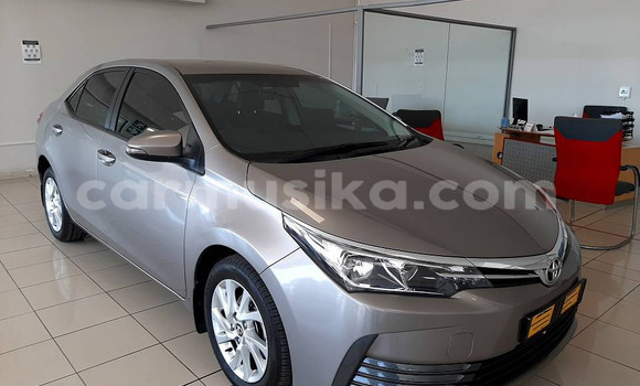 Nunua Ilio tumika Toyota Corolla Nyingine Gari ndani ya Beitbridge nchini Matabeleland Kusini