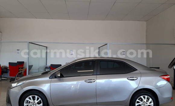 Acheter Occasion Voiture Toyota Corolla Autre à Beitbridge, Matabeleland South Acheter Occasion Voiture Toyota Corolla Autre à Beitbridge, Matabeleland South