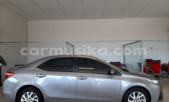 Acheter Occasion Voiture Toyota Corolla Autre à Beitbridge, Matabeleland South Acheter Occasion Voiture Toyota Corolla Autre à Beitbridge, Matabeleland South