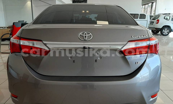 Acheter Occasion Voiture Toyota Corolla Autre à Beitbridge, Matabeleland South Acheter Occasion Voiture Toyota Corolla Autre à Beitbridge, Matabeleland South