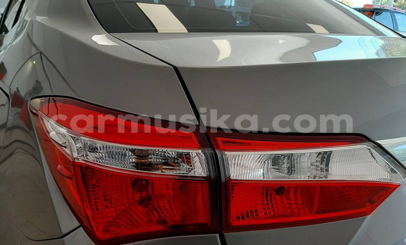 Acheter Occasion Voiture Toyota Corolla Autre à Beitbridge, Matabeleland South Acheter Occasion Voiture Toyota Corolla Autre à Beitbridge, Matabeleland South