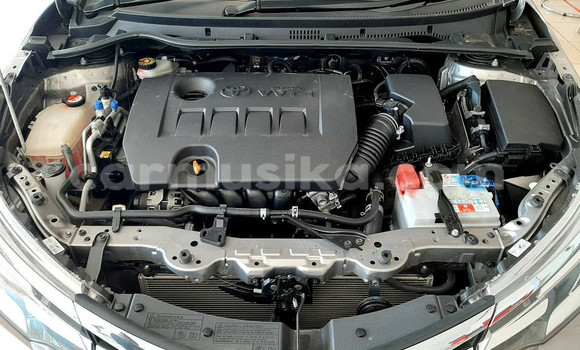 Acheter Occasion Voiture Toyota Corolla Autre à Beitbridge, Matabeleland South Acheter Occasion Voiture Toyota Corolla Autre à Beitbridge, Matabeleland South