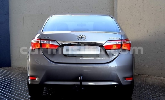 Tenga Tsaru Toyota Corolla Zvimwe Mota in Beitbridge in Matabeleland South Tenga Tsaru Toyota Corolla Zvimwe Mota in Beitbridge in Matabeleland South