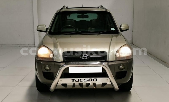 Tenga Tsaru Hyundai Tucson Beige Mota in Beitbridge in Matabeleland South Tenga Tsaru Hyundai Tucson Beige Mota in Beitbridge in Matabeleland South