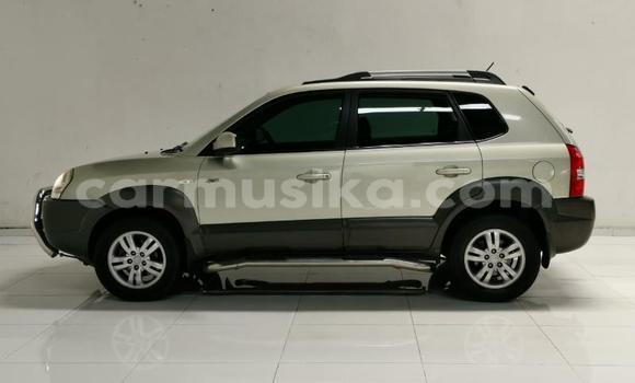 Nunua Ilio tumika Hyundai Tucson Beige Gari ndani ya Beitbridge nchini Matabeleland Kusini Nunua Ilio tumika Hyundai Tucson Beige Gari ndani ya Beitbridge nchini Matabeleland Kusini