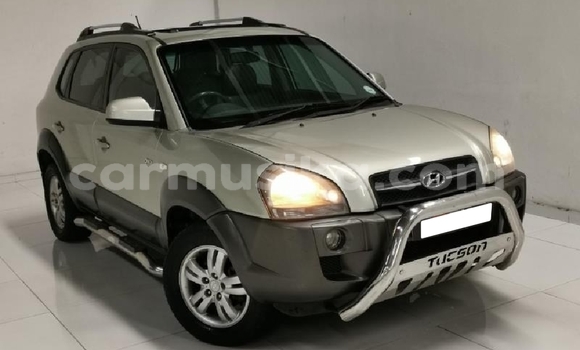 Nunua Ilio tumika Hyundai Tucson Beige Gari ndani ya Beitbridge nchini Matabeleland Kusini Nunua Ilio tumika Hyundai Tucson Beige Gari ndani ya Beitbridge nchini Matabeleland Kusini