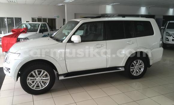 Tenga Tsaru Mitsubishi Pajero Chena Mota in Beitbridge in Matabeleland South Tenga Tsaru Mitsubishi Pajero Chena Mota in Beitbridge in Matabeleland South