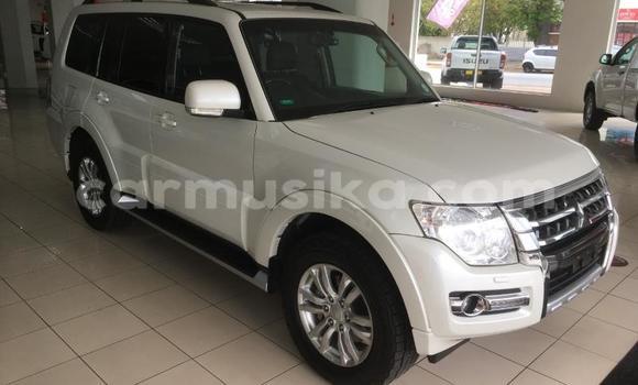 Tenga Tsaru Mitsubishi Pajero Chena Mota in Beitbridge in Matabeleland South Tenga Tsaru Mitsubishi Pajero Chena Mota in Beitbridge in Matabeleland South