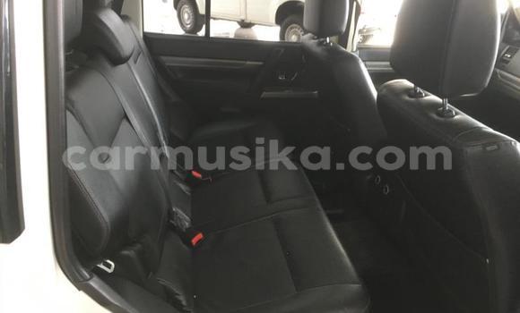 Tenga Tsaru Mitsubishi Pajero Chena Mota in Beitbridge in Matabeleland South Tenga Tsaru Mitsubishi Pajero Chena Mota in Beitbridge in Matabeleland South