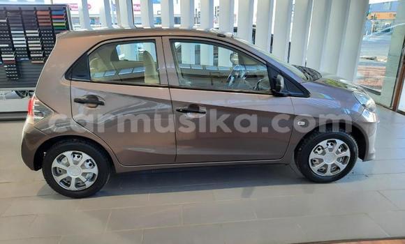 Buy Used Honda Brio Beige Car in Beitbridge in Matabeleland South Buy Used Honda Brio Beige Car in Beitbridge in Matabeleland South
