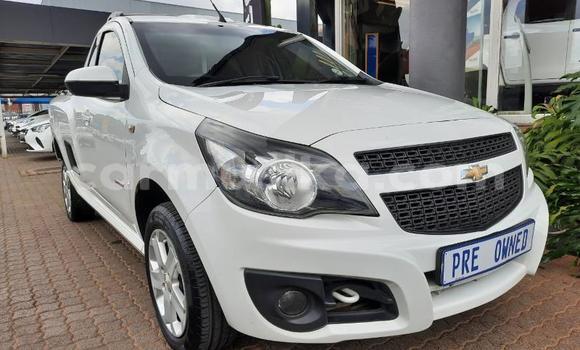Buy Used Chevrolet Corsa White Car in Beitbridge in Matabeleland South