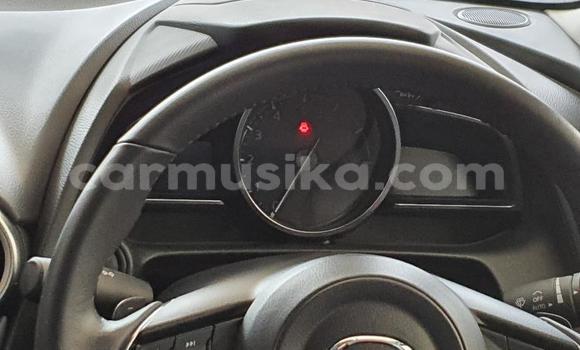 Tenga Tsaru Mazda 2 Zvimwe Mota in Beitbridge in Matabeleland South Tenga Tsaru Mazda 2 Zvimwe Mota in Beitbridge in Matabeleland South