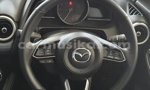 Tenga Tsaru Mazda 2 Zvimwe Mota in Beitbridge in Matabeleland South Tenga Tsaru Mazda 2 Zvimwe Mota in Beitbridge in Matabeleland South