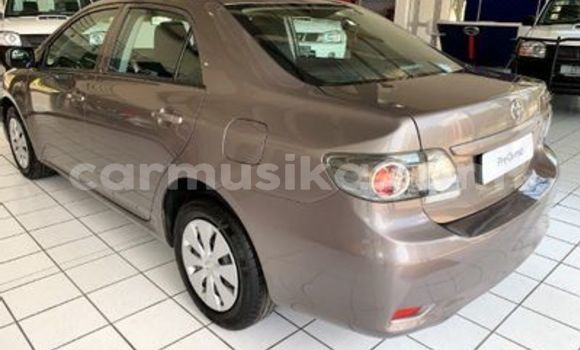 Tenga Tsaru Toyota Corolla Zvimwe Mota in Beitbridge in Matabeleland South Tenga Tsaru Toyota Corolla Zvimwe Mota in Beitbridge in Matabeleland South