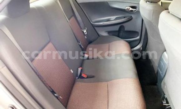 Tenga Tsaru Toyota Corolla Zvimwe Mota in Beitbridge in Matabeleland South Tenga Tsaru Toyota Corolla Zvimwe Mota in Beitbridge in Matabeleland South