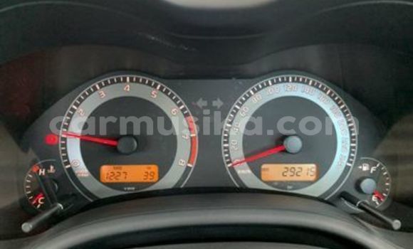 Tenga Tsaru Toyota Corolla Zvimwe Mota in Beitbridge in Matabeleland South Tenga Tsaru Toyota Corolla Zvimwe Mota in Beitbridge in Matabeleland South