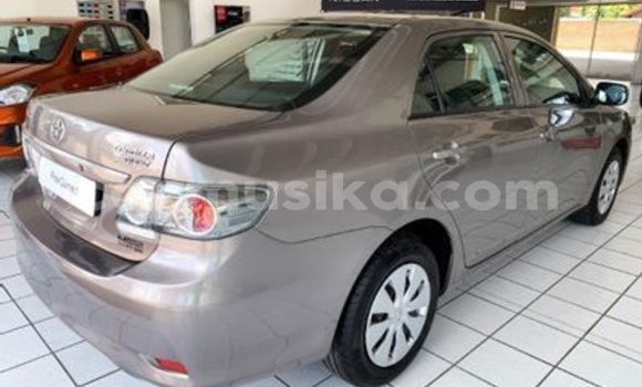 Tenga Tsaru Toyota Corolla Zvimwe Mota in Beitbridge in Matabeleland South Tenga Tsaru Toyota Corolla Zvimwe Mota in Beitbridge in Matabeleland South
