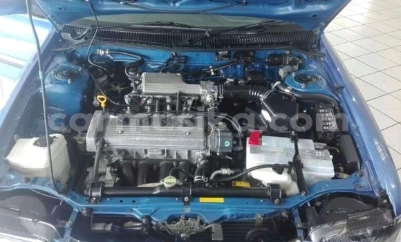 Tenga Tsaru Toyota T100 Bhuruu Mota in Beitbridge in Matabeleland South Tenga Tsaru Toyota T100 Bhuruu Mota in Beitbridge in Matabeleland South