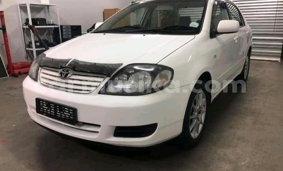 Tenga Tsaru Toyota Corolla Chena Mota in Beitbridge in Matabeleland South