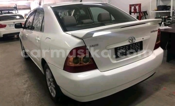 Acheter Occasion Voiture Toyota Corolla Blanc à Beitbridge, Matabeleland South Acheter Occasion Voiture Toyota Corolla Blanc à Beitbridge, Matabeleland South