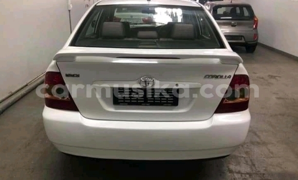 Acheter Occasion Voiture Toyota Corolla Blanc à Beitbridge, Matabeleland South Acheter Occasion Voiture Toyota Corolla Blanc à Beitbridge, Matabeleland South