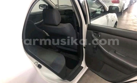 Acheter Occasion Voiture Toyota Corolla Blanc à Beitbridge, Matabeleland South Acheter Occasion Voiture Toyota Corolla Blanc à Beitbridge, Matabeleland South