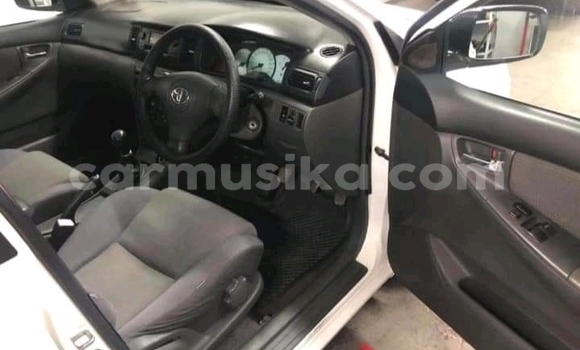 Acheter Occasion Voiture Toyota Corolla Blanc à Beitbridge, Matabeleland South Acheter Occasion Voiture Toyota Corolla Blanc à Beitbridge, Matabeleland South