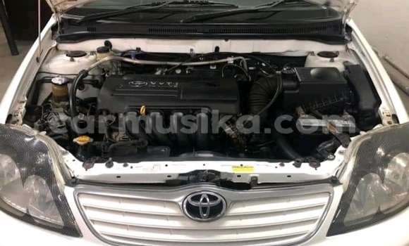 Acheter Occasion Voiture Toyota Corolla Blanc à Beitbridge, Matabeleland South Acheter Occasion Voiture Toyota Corolla Blanc à Beitbridge, Matabeleland South