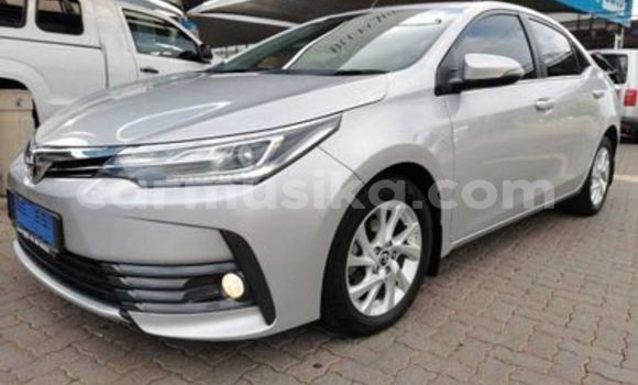 Tenga Tsaru Toyota Corolla Sirivha Mota in Beitbridge in Matabeleland South