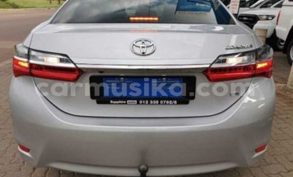 Tenga Tsaru Toyota Corolla Sirivha Mota in Beitbridge in Matabeleland South Tenga Tsaru Toyota Corolla Sirivha Mota in Beitbridge in Matabeleland South