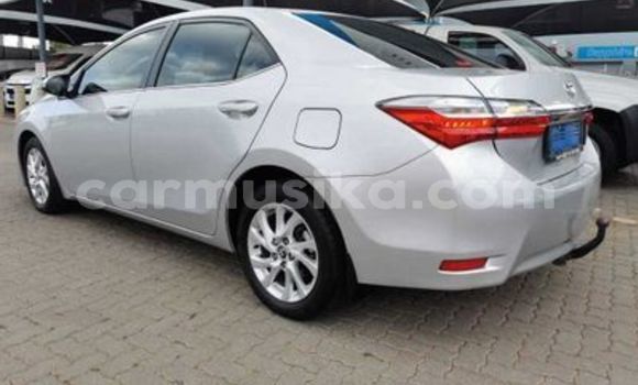 Tenga Tsaru Toyota Corolla Sirivha Mota in Beitbridge in Matabeleland South Tenga Tsaru Toyota Corolla Sirivha Mota in Beitbridge in Matabeleland South