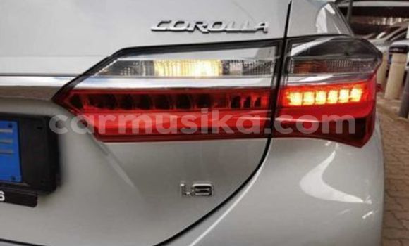 Tenga Tsaru Toyota Corolla Sirivha Mota in Beitbridge in Matabeleland South Tenga Tsaru Toyota Corolla Sirivha Mota in Beitbridge in Matabeleland South