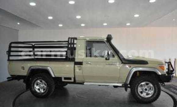 Acheter Occasion Voiture Toyota Land Cruiser Autre à Beitbridge, Matabeleland South Acheter Occasion Voiture Toyota Land Cruiser Autre à Beitbridge, Matabeleland South