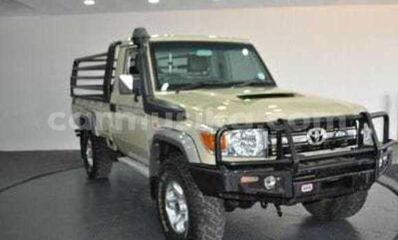 Tenga Tsaru Toyota Land Cruiser Zvimwe Mota in Beitbridge in Matabeleland South Tenga Tsaru Toyota Land Cruiser Zvimwe Mota in Beitbridge in Matabeleland South