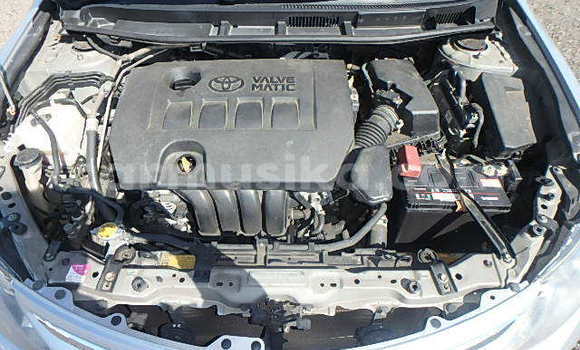 Acheter Occasion Voiture Toyota Wish Gris à Beitbridge, Matabeleland South Acheter Occasion Voiture Toyota Wish Gris à Beitbridge, Matabeleland South