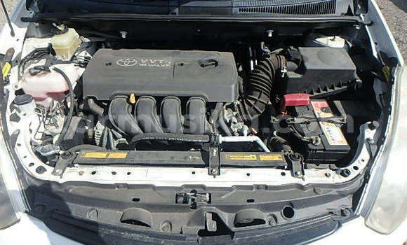 Nunua Ilio tumika Toyota Wish Nyingine Gari ndani ya Beitbridge nchini Matabeleland Kusini Nunua Ilio tumika Toyota Wish Nyingine Gari ndani ya Beitbridge nchini Matabeleland Kusini