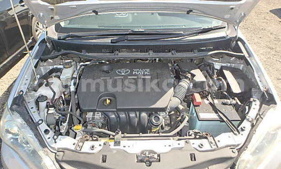 Tenga Tsaru Toyota Wish Zvimwe Mota in Beitbridge in Matabeleland South Tenga Tsaru Toyota Wish Zvimwe Mota in Beitbridge in Matabeleland South