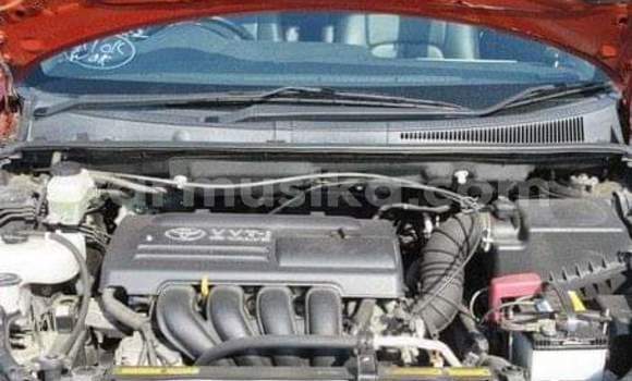 Tenga Tsaru Toyota Wish Tsvuku Mota in Beitbridge in Matabeleland South Tenga Tsaru Toyota Wish Tsvuku Mota in Beitbridge in Matabeleland South